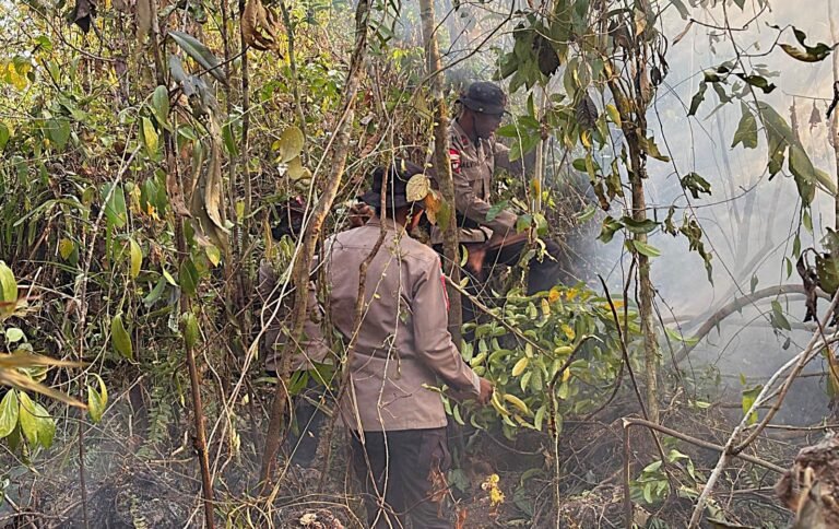 Penanganan Karhutla Hari Keenam, Brimob Kembali Turun Di Biak