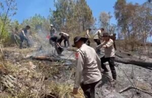 Karhutla Hanguskan 5 Hektare Lahan di Mamasa, Polisi dan Damkar Berjibaku Padamkan Api