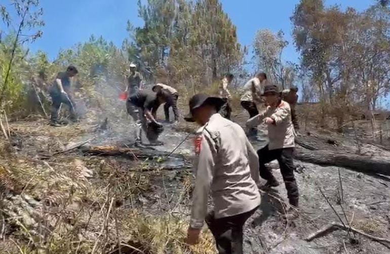 Karhutla Hanguskan 5 Hektare Lahan di Mamasa, Polisi dan Damkar Berjibaku Padamkan Api