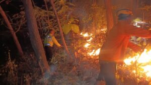 Sinergi Polsek Bungkal Bersama Tim Gabungan Berhasil Jinakkan Karhutla di Ponorogo