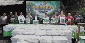 Dapur Arang Mangrove Dibongkar, Polda Riau Tangkap Dua Tersangka di Rupat
