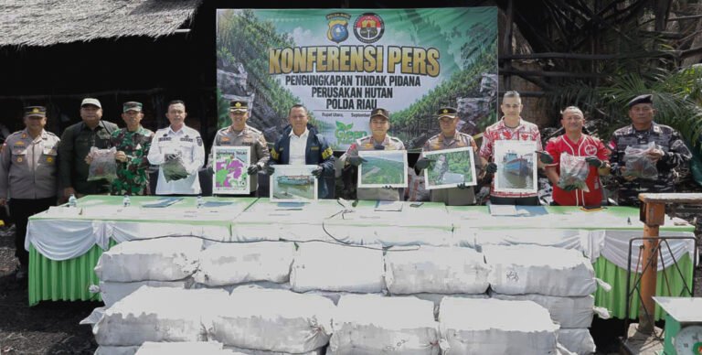 Dapur Arang Mangrove Dibongkar, Polda Riau Tangkap Dua Tersangka di Rupat