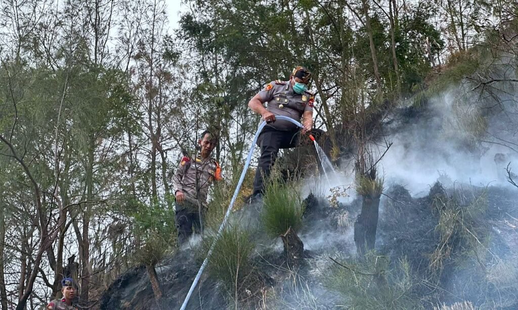 Personel BKO Polda Jatim Gerak Cepat Padamkan Titik Api, Cegah Karhutla TNBTS Meluas