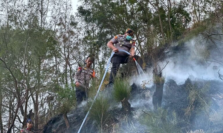 Personel BKO Polda Jatim Gerak Cepat Padamkan Titik Api, Cegah Karhutla TNBTS Meluas