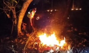 Respons Cepat, Polsek Widodaren dan Tim Gabungan Padamkan Titik Api Karhutla di Ngawi*