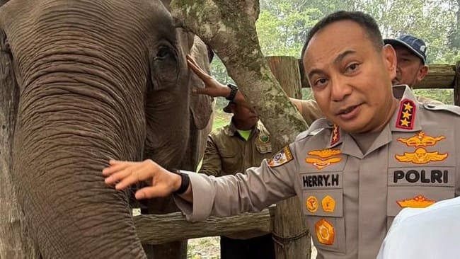 Pamit dari Riau, Komjen Herry Heryawan Titip Pesan Lestarikan Gajah dan Alam