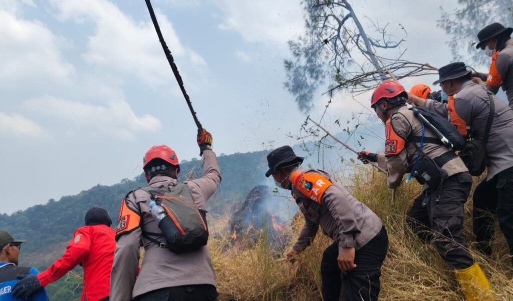 Polda Jatim dan Tim Gabungan Tangani Karhutla Gunung Arjuno Sisir 4 Wilayah