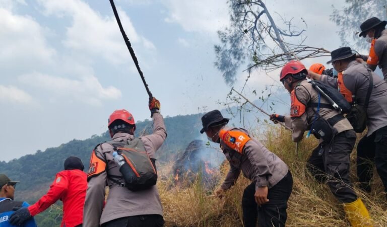 Polda Jatim dan Tim Gabungan Tangani Karhutla Gunung Arjuno Sisir 4 Wilayah